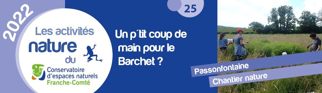 Un p'tit coup de main pour nos zones humides ?