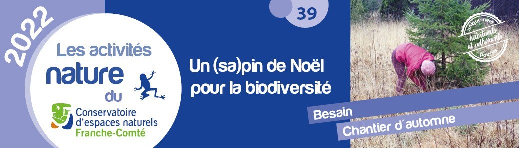 Un (sa)pin de Noël pour la biodiversité