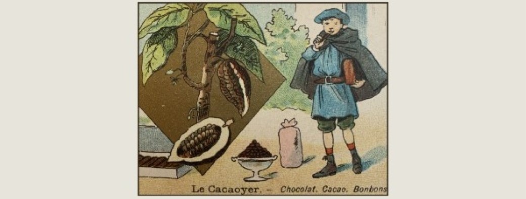 Un voyage dans le monde du chocolat fin et éthique