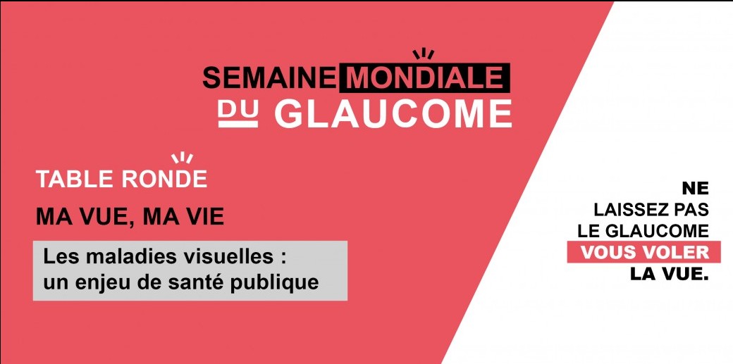 Ma vue, ma vie "Les maladies visuelles : un enjeu de santé publique"