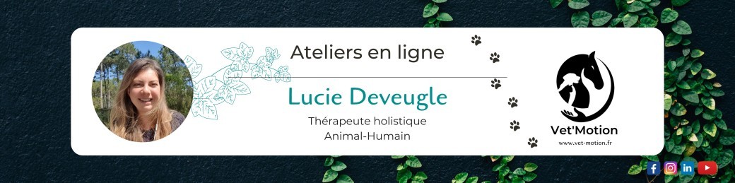Une alimentation + naturelle pour mon chat ? Oui, mais comment faire ?