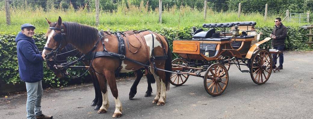 Une après-midi en calèche, champagne et goûter