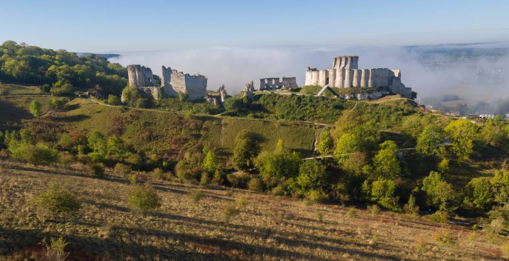 Une aventure botanique nocturne 30/05/2026