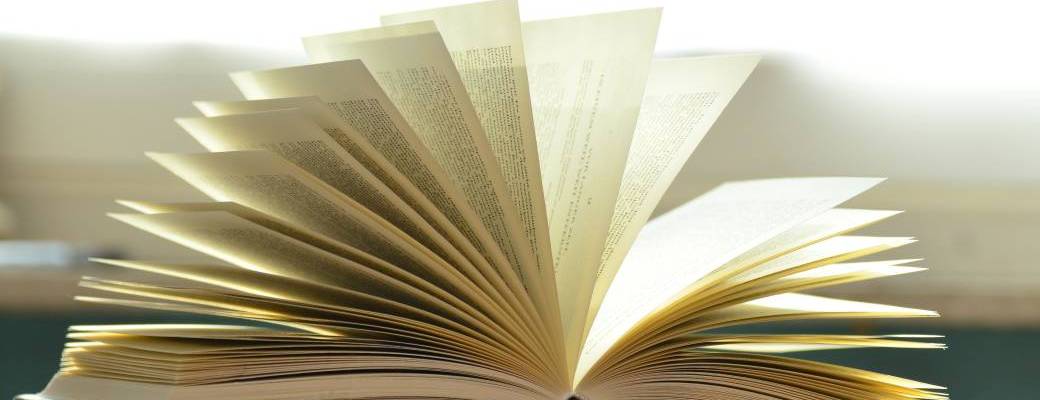 Une bibliothécaire : les coulisses du métier