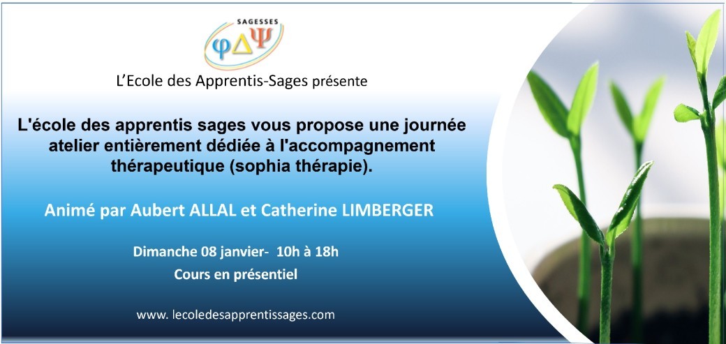Une journée atelier entièrement dédiée à l'accompagnement thérapeutique (sophia thérapie).