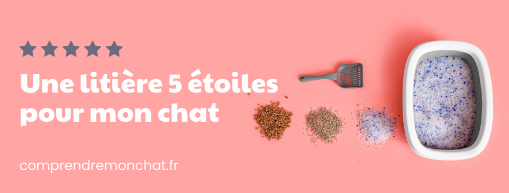 Une litière 5 étoiles pour mon chat