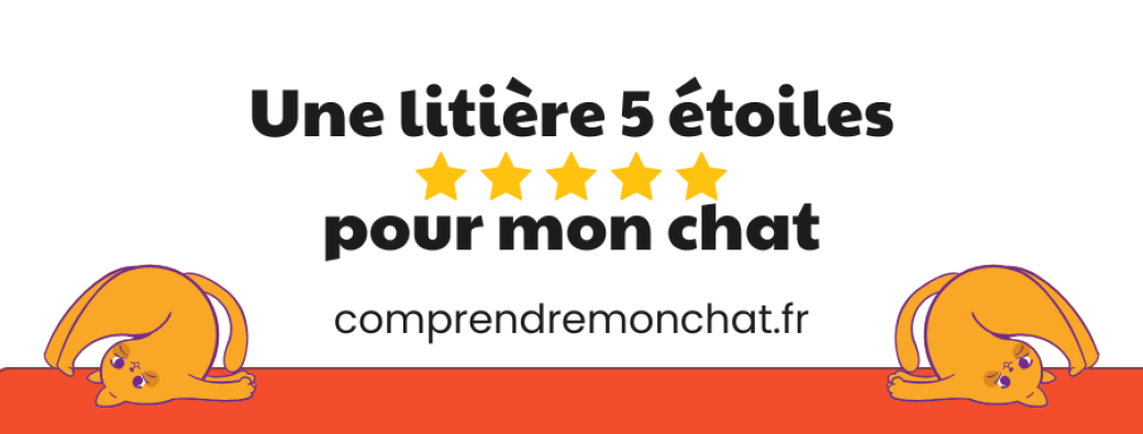 Une litière 5 étoiles pour mon chat