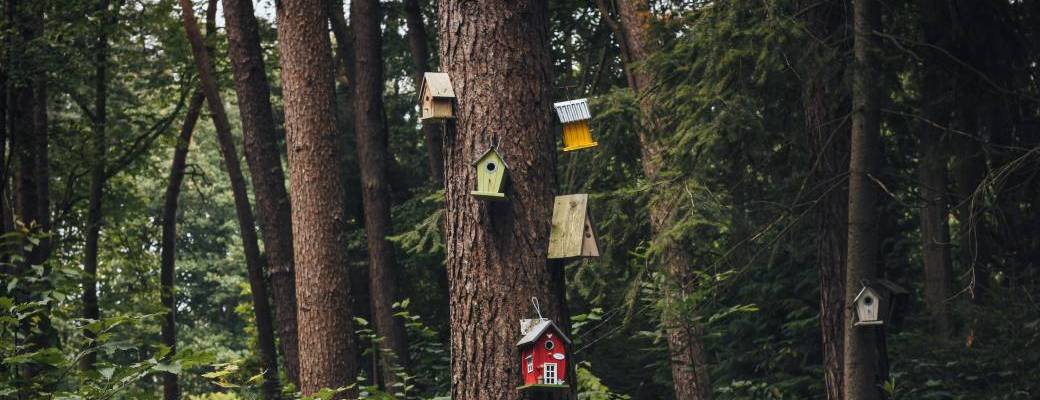 Une maison pour nos amis les oiseaux