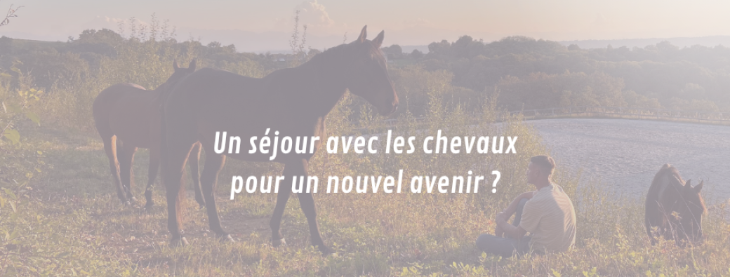 Une pause, des chevaux, un nouveau chemin