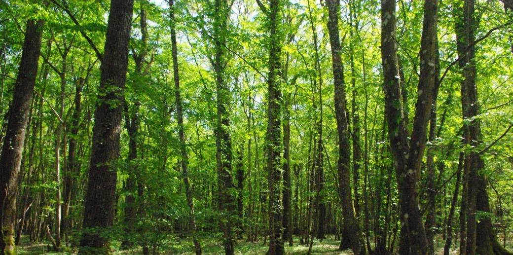 Une pause pour Nourrir la Vie en Soi