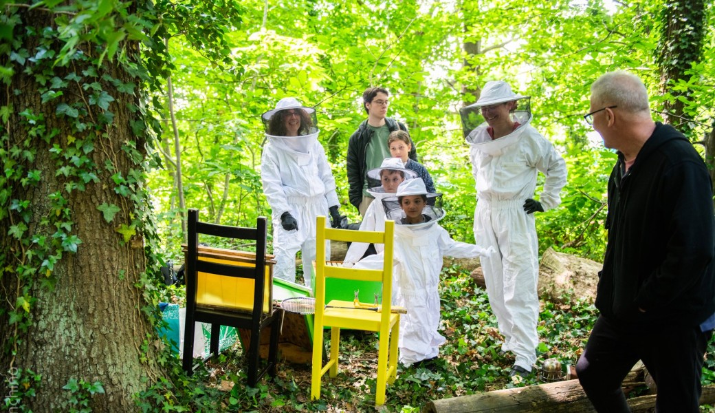 Une ruche, c'est quoi ? 