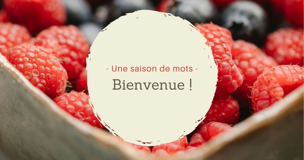 Atelier vidéo : Une saison de mots, 14 jours d'écriture (100 % autrices)