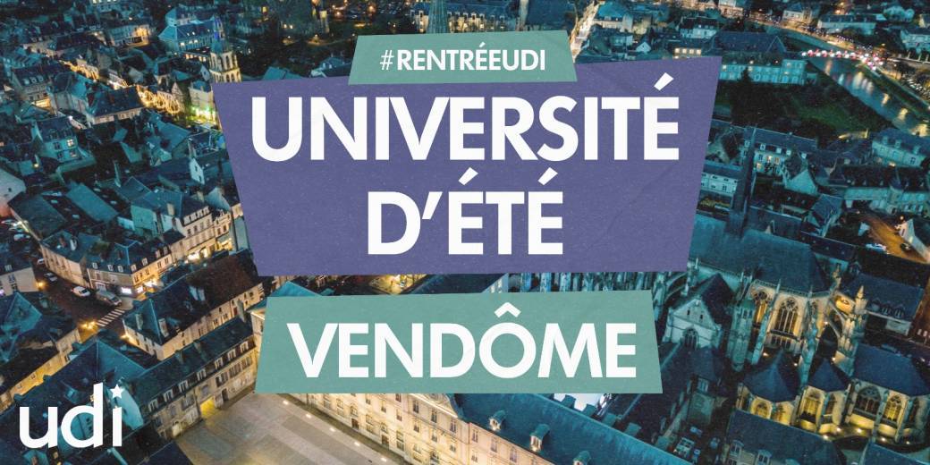 Université d'été de l'UDI 2020