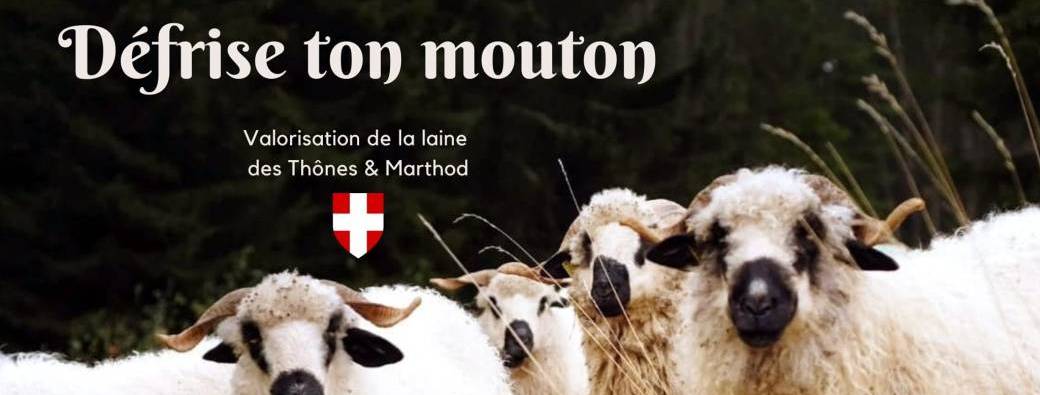 ÉVÉNEMENT : Défrise ton mouton !
