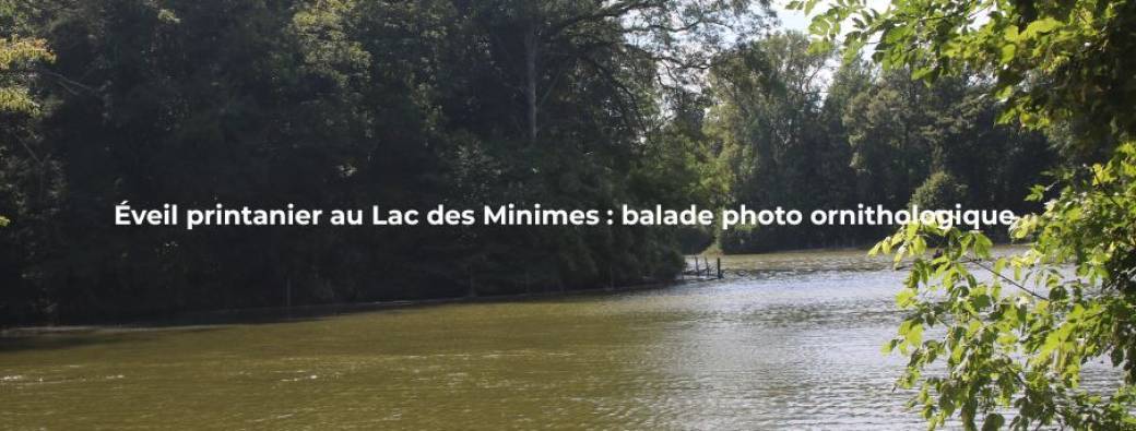 Éveil printanier au Lac des Minimes : balade photo ornitho