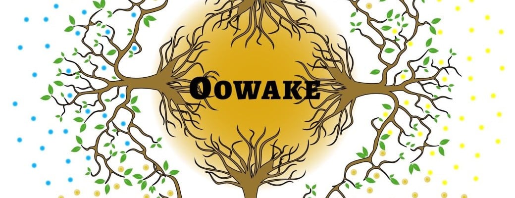 Venez fabriquer votre tambour chamanique avec Oowake decembre 2025