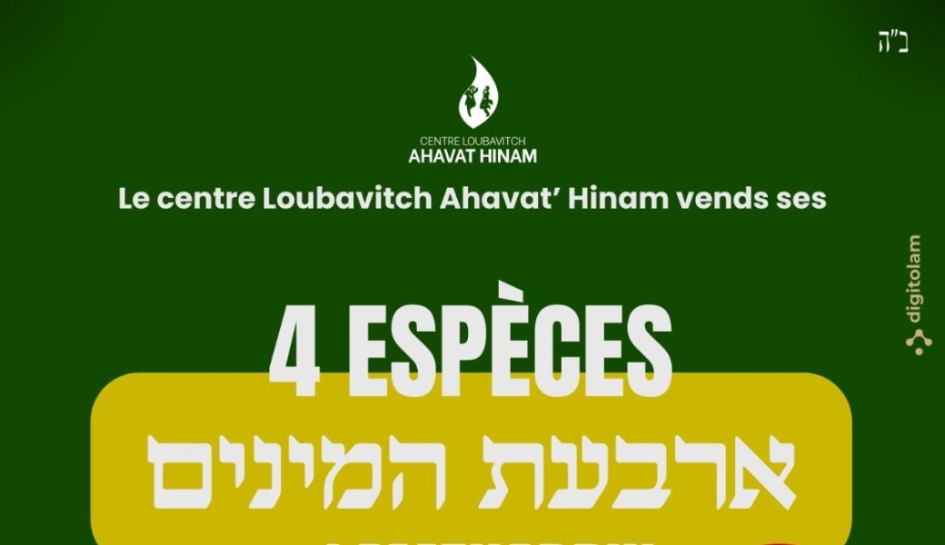 Vente de loulavim 