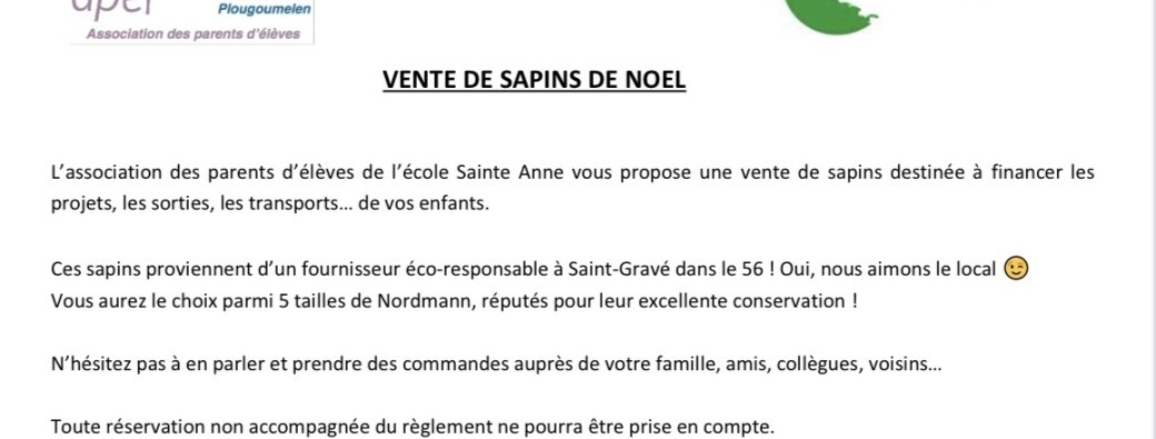vente de sapin noel