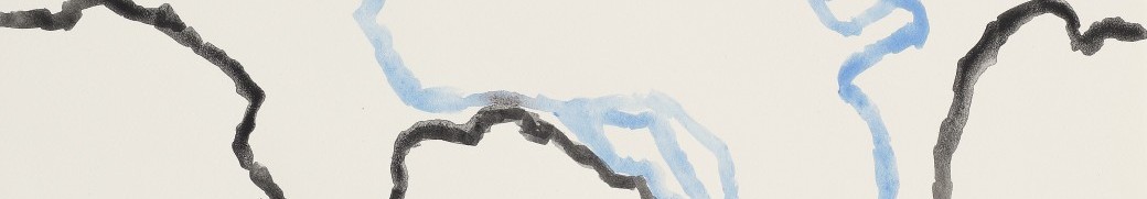 Vernissage de l'exposition de Claude Hassan Vernissage de l'exposition de Claude Hassan