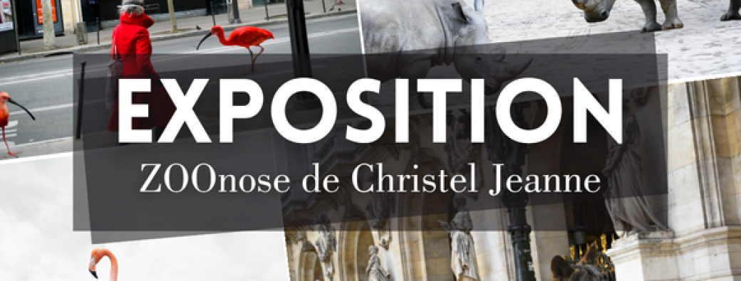 Vernissage : Exposition ZOOnose de Christel Jeanne