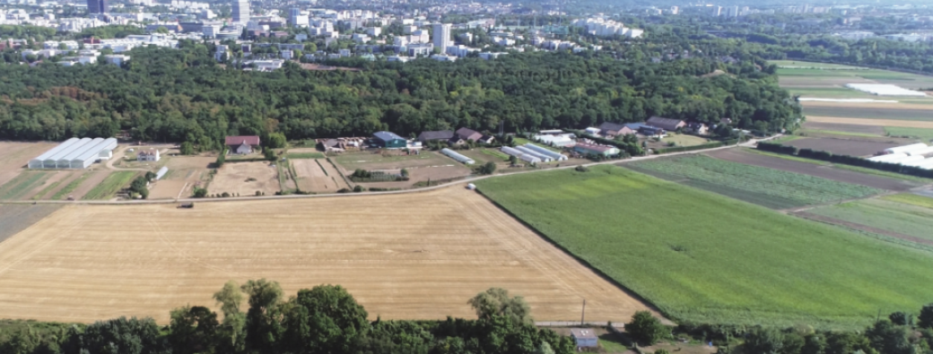 Vers les PATlettes de légumes