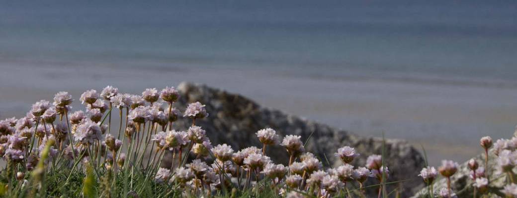 Vibrances, un chemin vers soi