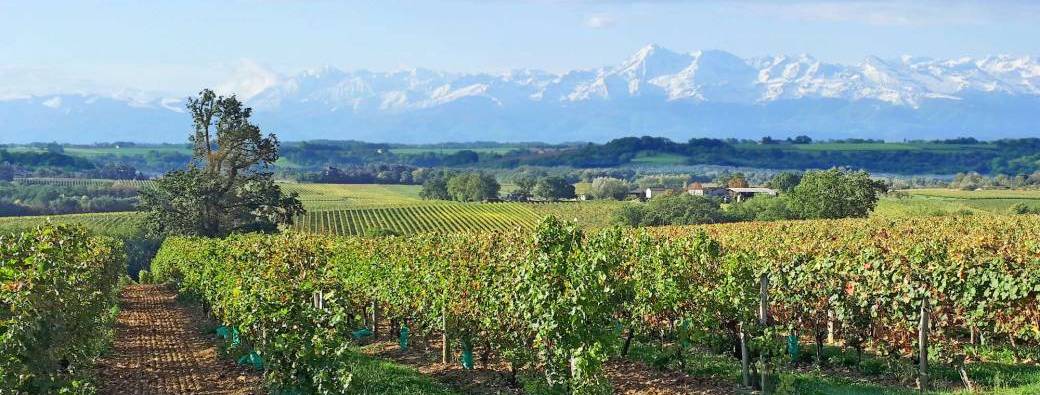 Vigneronnes emblématiques du Sud-Ouest