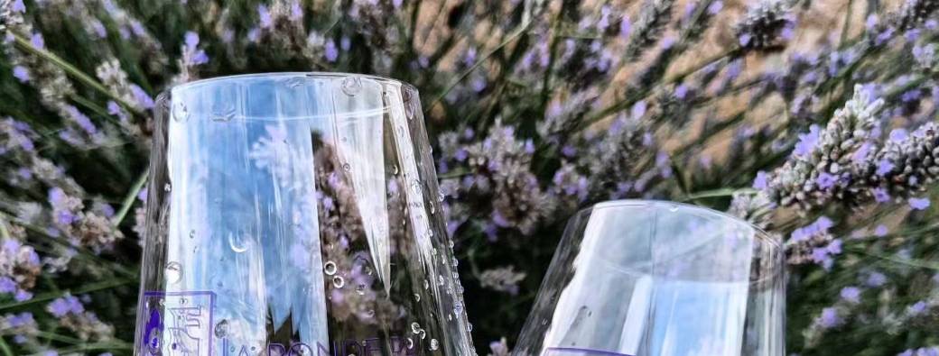 Vignobles en scène -  Les vins du Couchois 