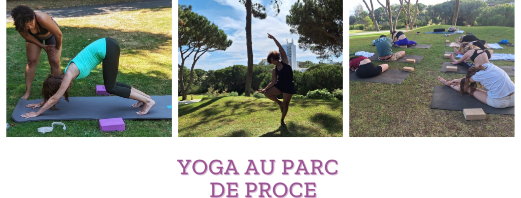 Vinyasa Flow Yoga au Parc de Procé