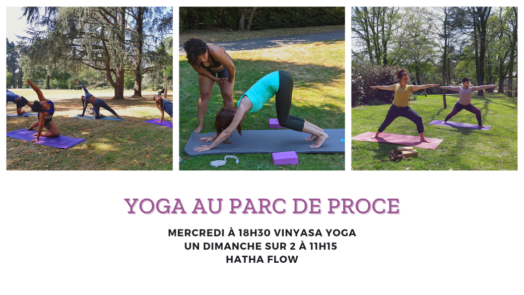 Vinyasa Yoga au Parc de Procé