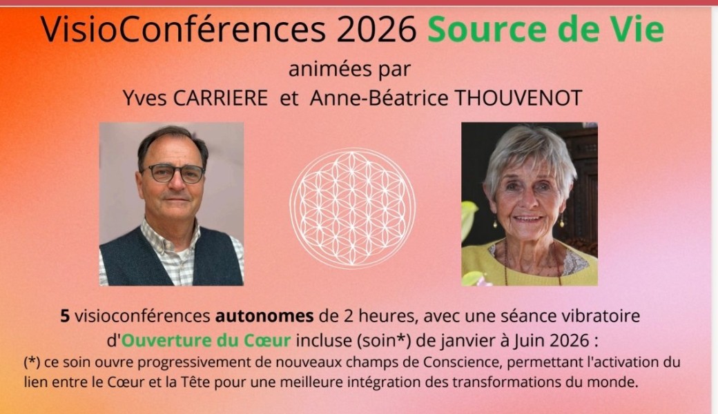 Visio 6 -Source de Vie - Ma synthèse du chemin de liberté => quelle voie ou voix choisir ? 
