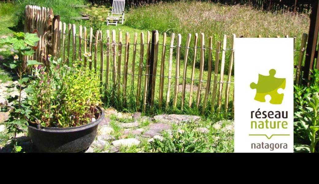 Visioconférence : Esthétique/plan de jardin