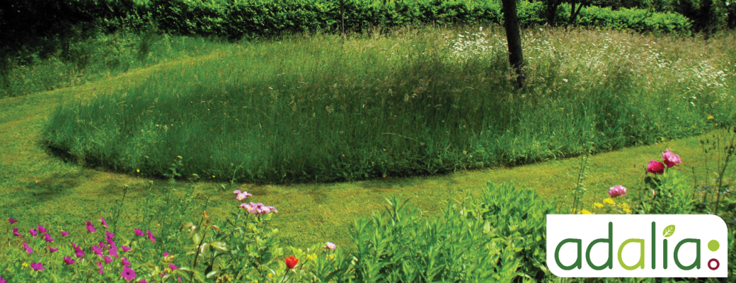 Visioconférence: Comment adapter le jardin aux changements climatiques ?