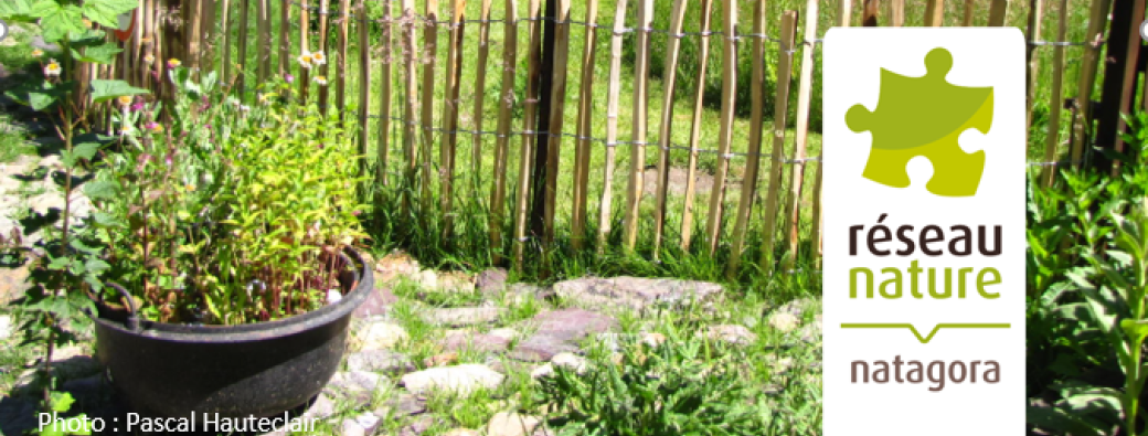 Visioconférence : Esthétique/plan de jardin