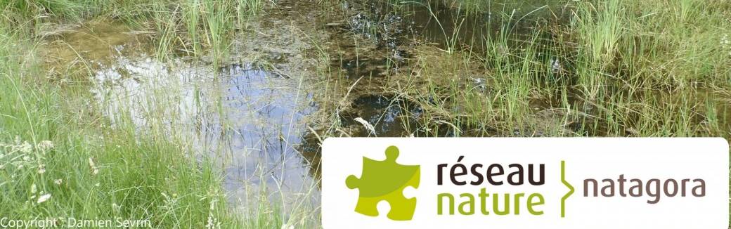 Visioconférence : La mare naturelle au jardin 