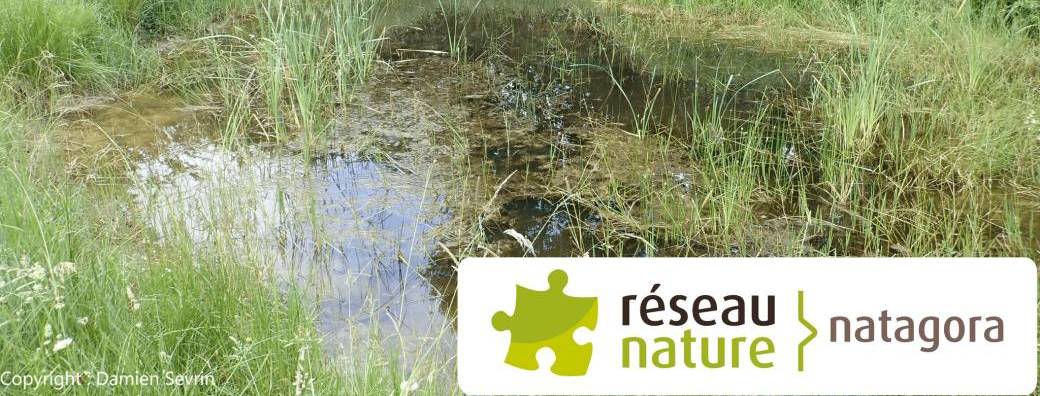 Visioconférence : La mare naturelle au jardin
