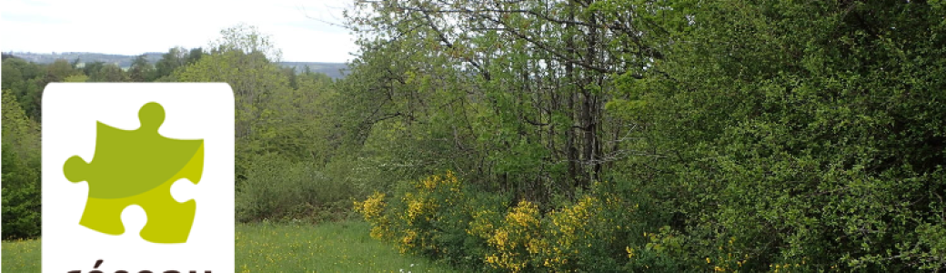 Visioconférence : La plantation de haie au jardin 