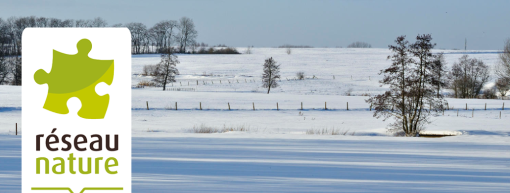 Visioconférence : Présentation du Réseau Nature