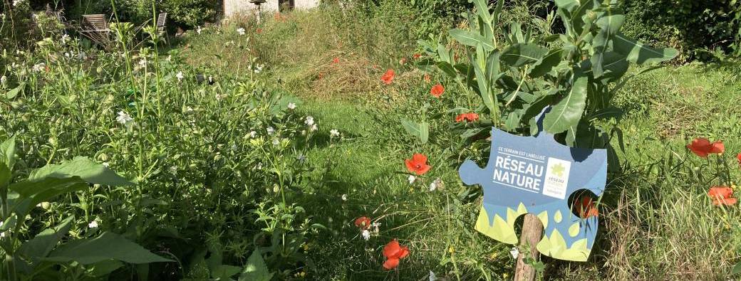Visioconférence : Présentation du jardin et du Réseau Nature