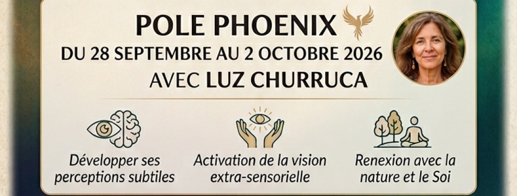 Vision intuitive, voir sans les yeux 