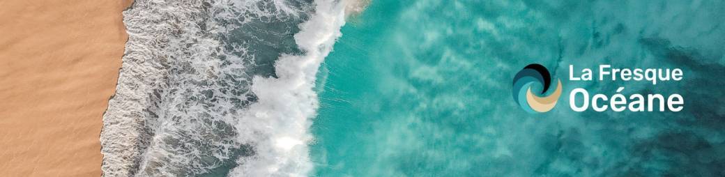 Come to visit Ocean Collage on 07/06/2026 at Marint Kunskapscenter Malmö with Ghislaine G. 