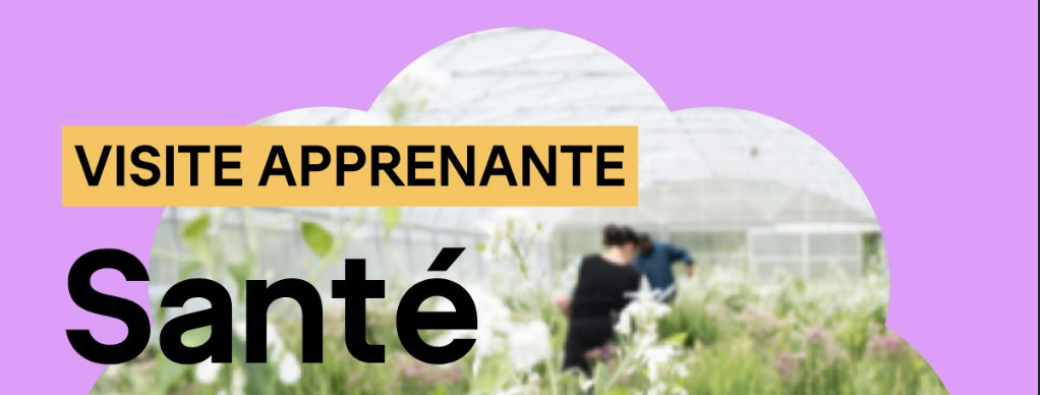 Visite apprenante