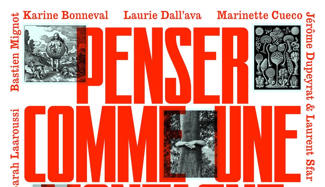 Visite commentée de l'exposition "Penser comme une montagne"