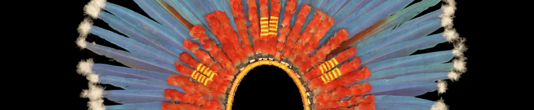 Visite conférence de l'exposition Amazônia - Créations et futurs autochtones