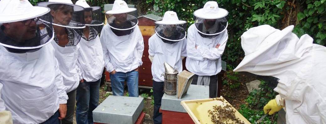 Visite de Ferme / Atelier apiculture - Farm Visit + beekeeping 