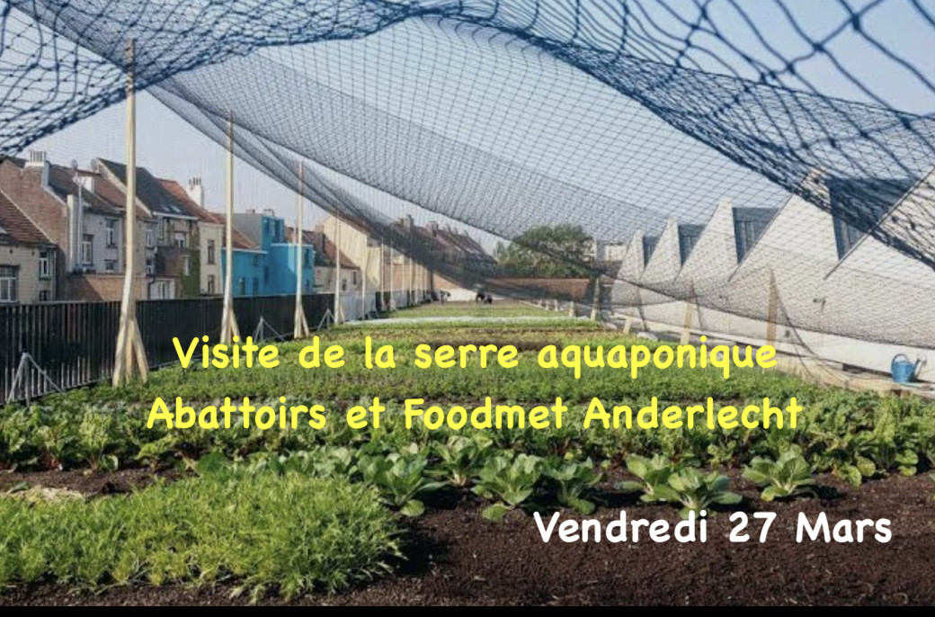 Visite de la serre aquaponique sur les toits  & Site des Abattoirs d'Anderlecht