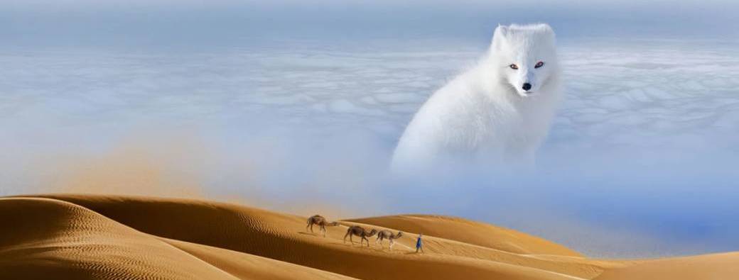 Visite de l'expo Déserts + Galerie de l'évolution