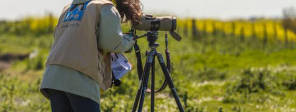 Visite de l'exposition avec la Ligue de protection des oiseaux