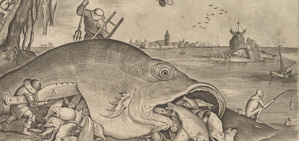 Visite de saison : Le vrai du faux à Dijon ! 