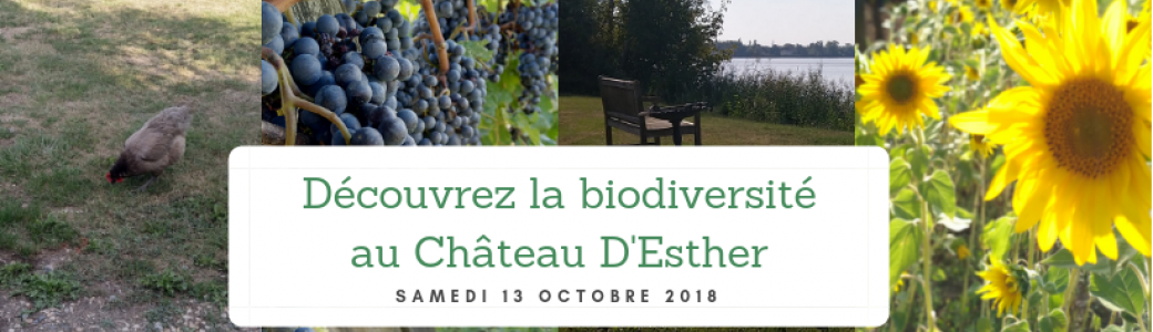 Visite de Vignoble en biodynamie-ECOTOURISME